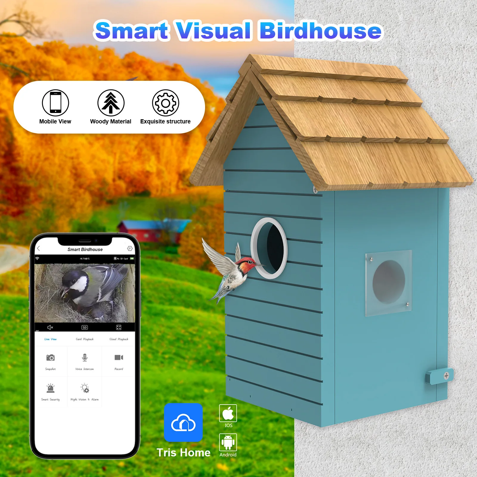 Intelligent Vision Wooden Hatch Conforms To Bird Habits Bird Hatch Video Recording Aviary Bird Nest