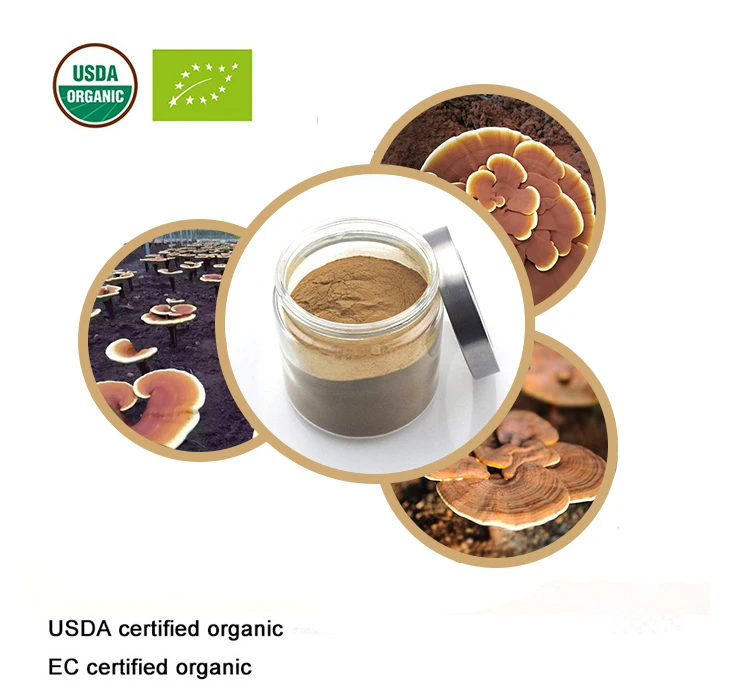 

100 г-1000 г Высококачественная красная кашпо Reishi mm 20:1,Ganoderma Lucidumm