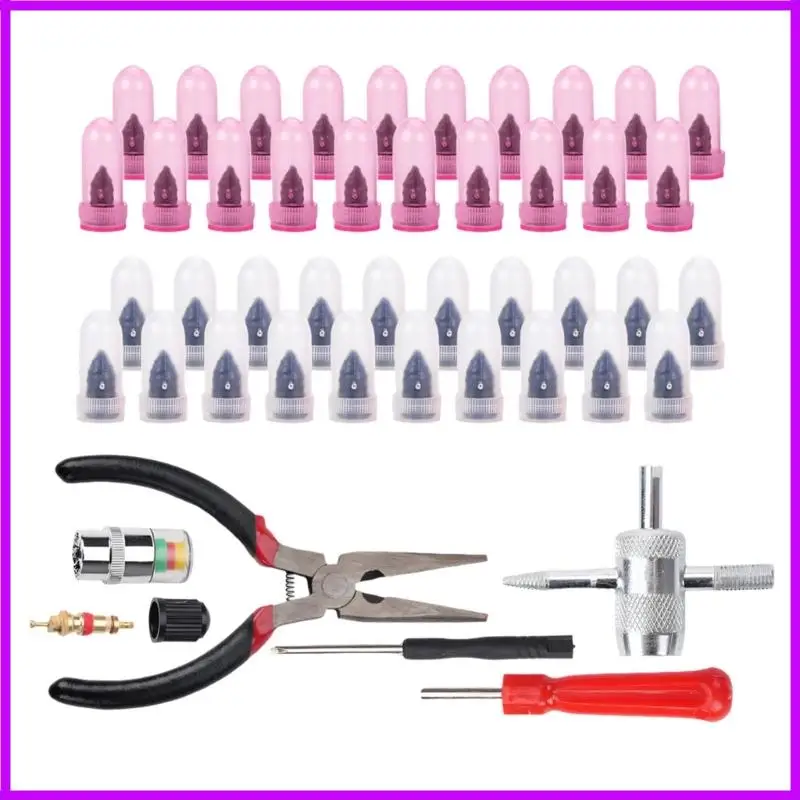 Professional Tire Repair For Car Motorcycle And Electric Bike Puncture Emergency Fixing Tool With Carbon Steel Insertion Pin