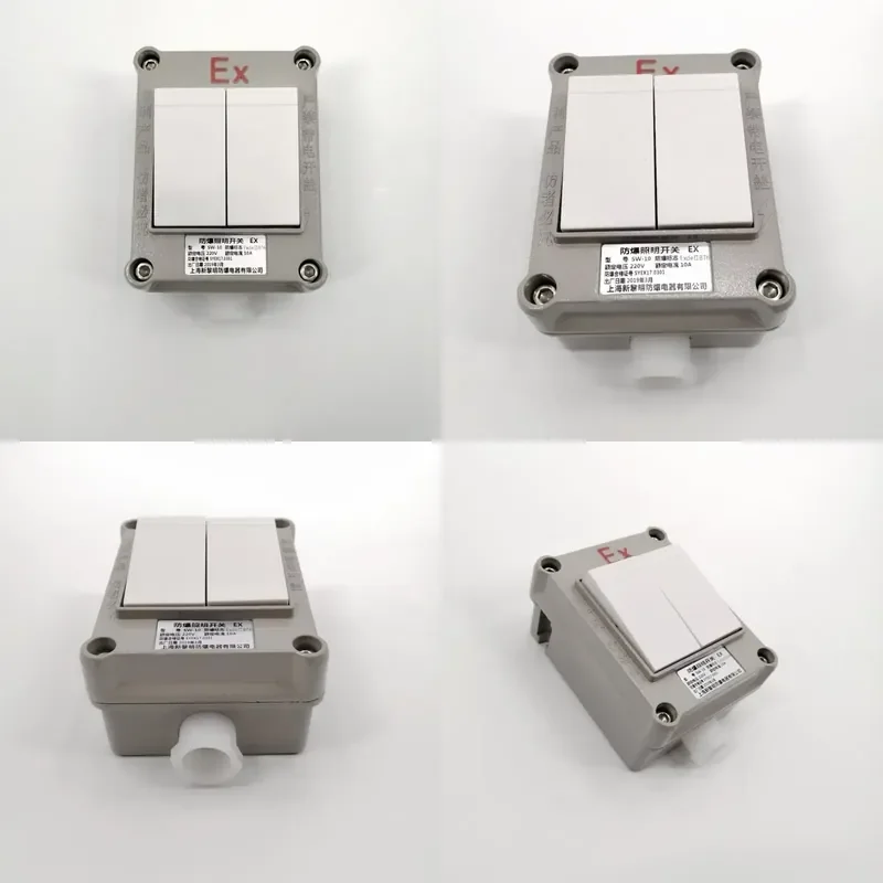 for Two switches Explosion-proof wall switch