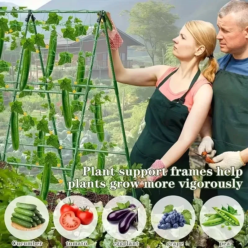 2026 Sturdy Plant Support Trellis PVC-Coated Steel 3 Horizontal 6 Vertical Stakes for Garden Vegetables Climbing Plants