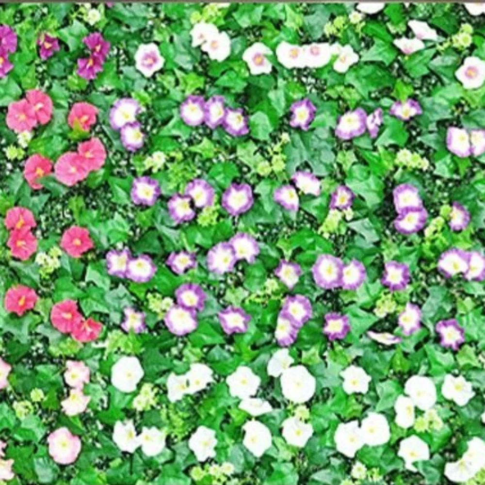 

Morning Glory Artificial Plants Wall Panel 60x40cm DIY Background Plastic Lawn Wall Panels UV Resistant Lifelike