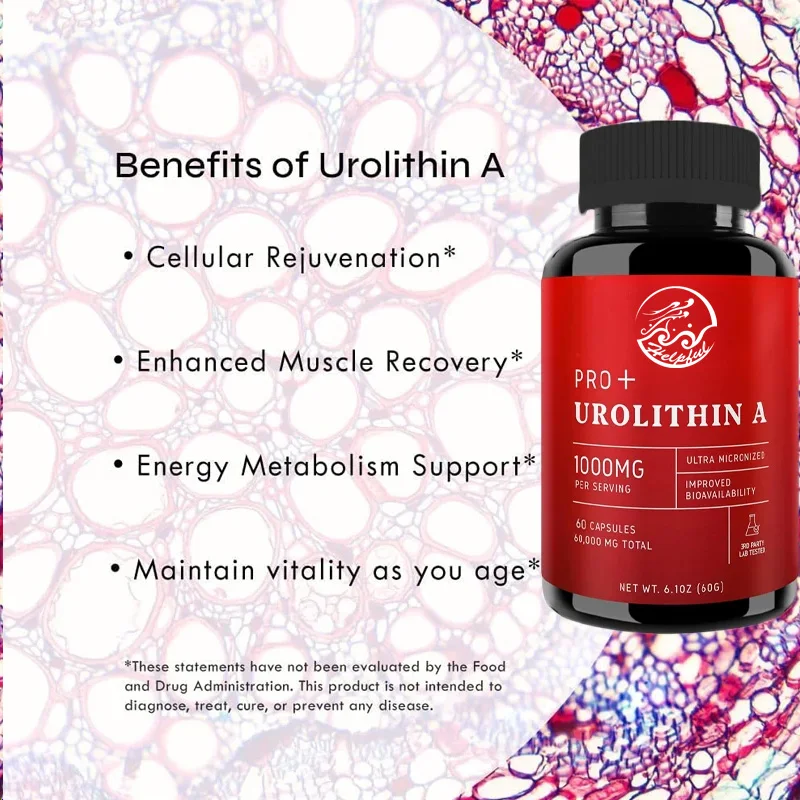 Urolithin A Capsules -1000 mg, 60 capsules for advanced cellular health and vitality, healthy aging, 60000 mg ultrafine powder