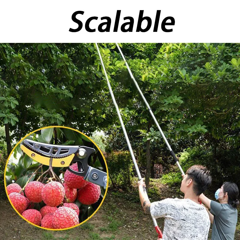 Scalable Fruit Picking Shears Grape Lychee Longan Picking Artifact High Altitude Pick Scissors Portable Garden Hand Tools