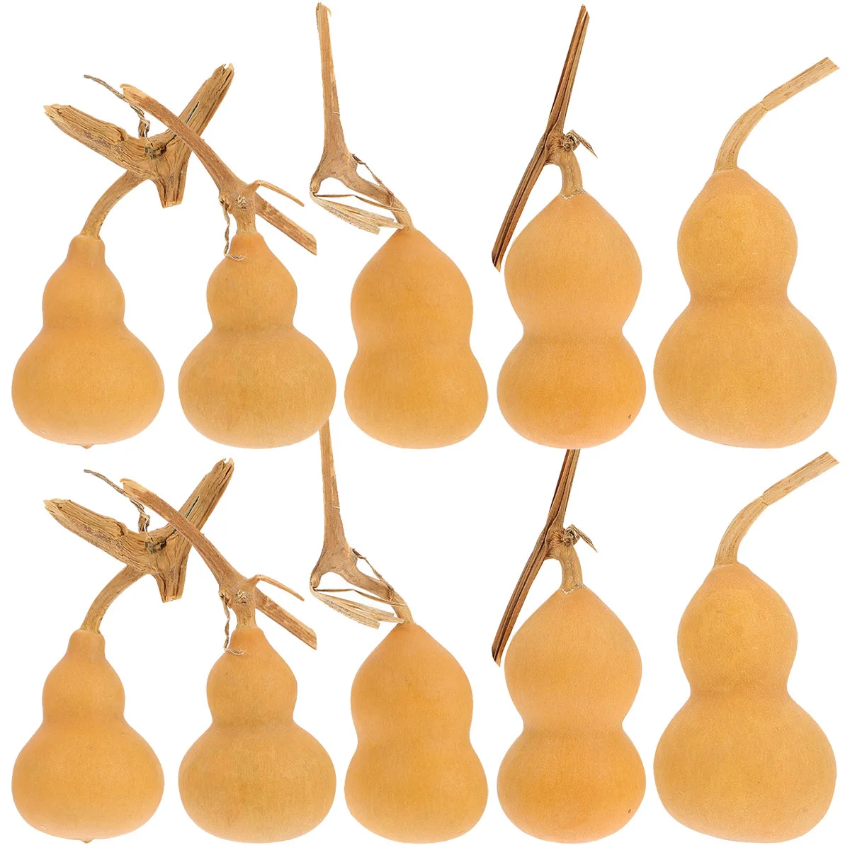 10 قطعة ديكورات فنون القرع الطبيعي الحلي لمكتب متجر مول ديكور مساحة صغيرة ديكور الحرفية الهدايا