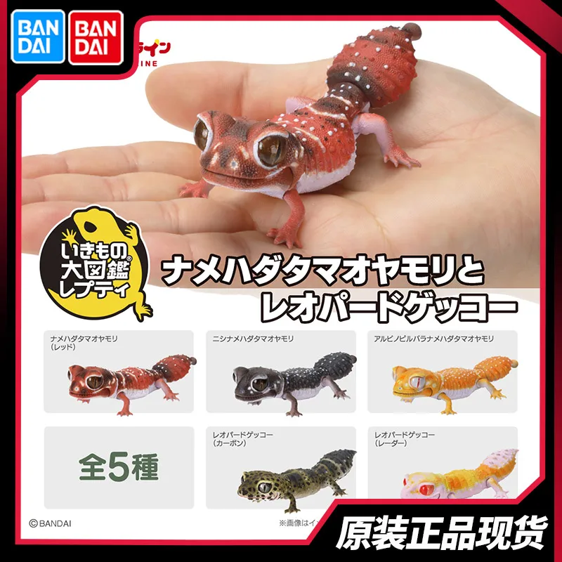 Bandai Gashapon Creature Illustrated Round-tailed Gecko Leopard Gecko Lizard Tumor-tailed Gecko Simulation Movable Ornament