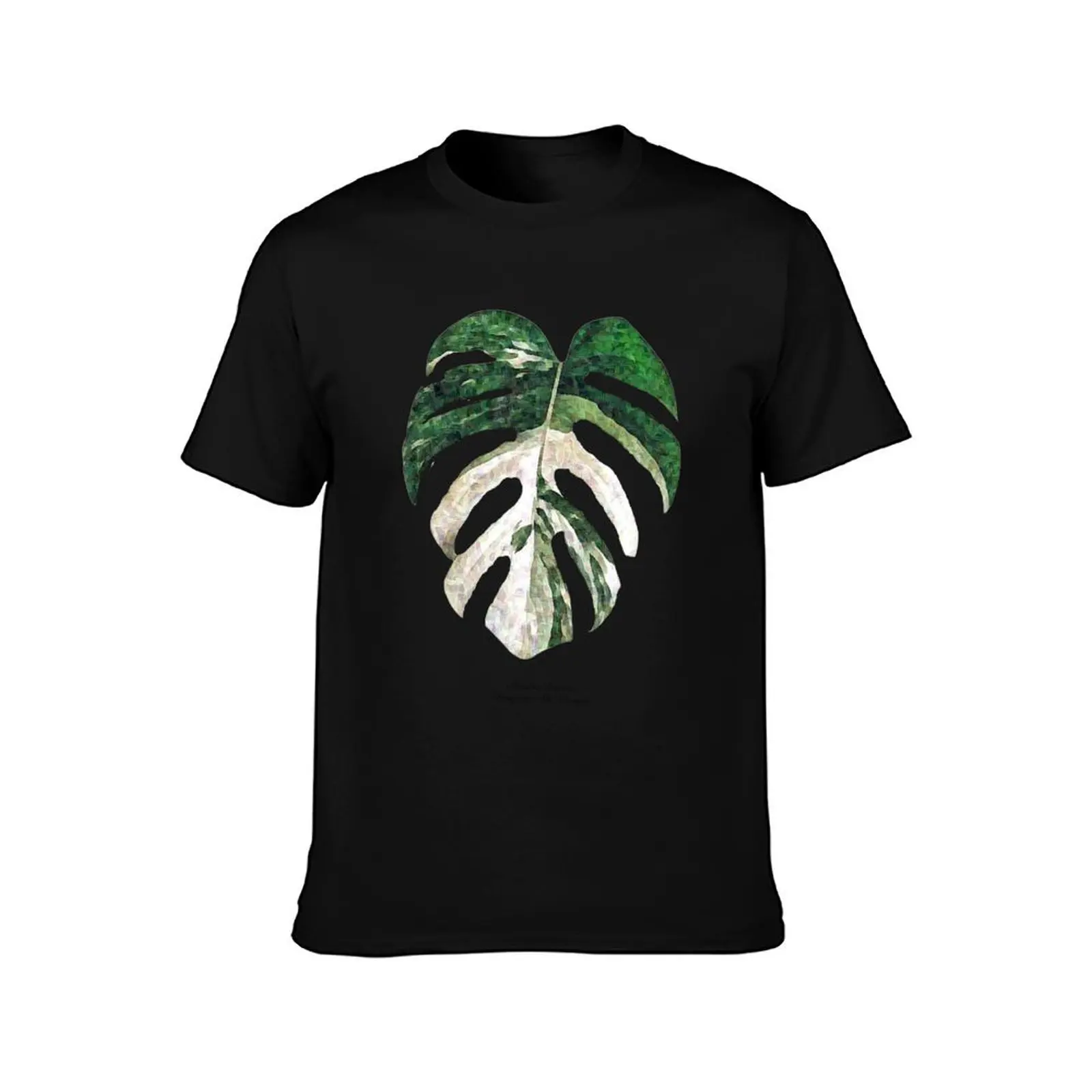 Monstera Deliciosa Borsigiana Albo Variegata Leaf. T-Shirt mens graphic t shirts T-Shirt