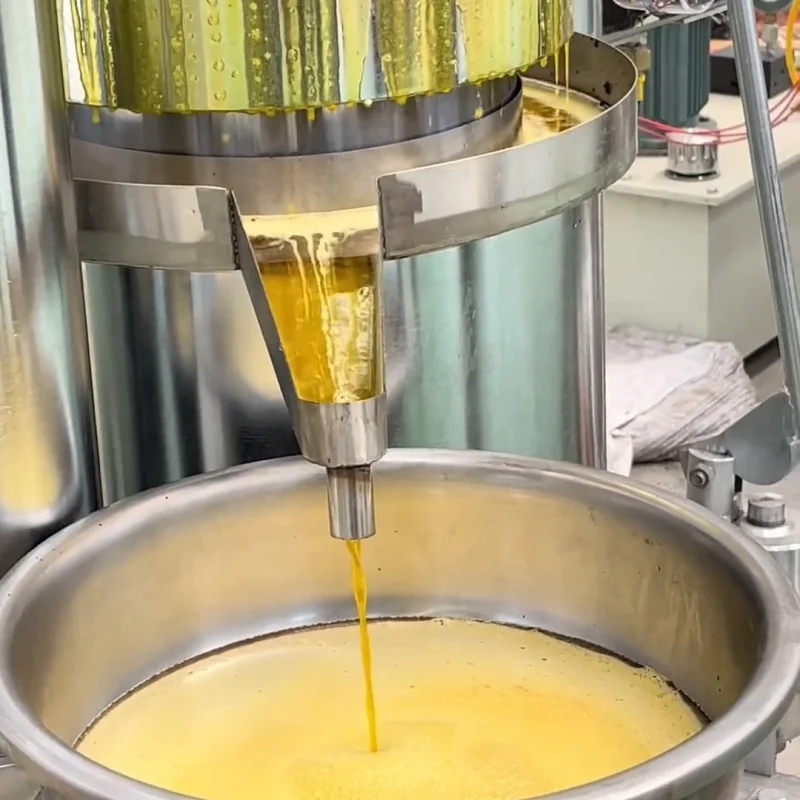 Factory Cheap Price Manual Hydraulic Oil Press Machine, Home‑Use Cocoa Butter Oil Extraction Press Machine