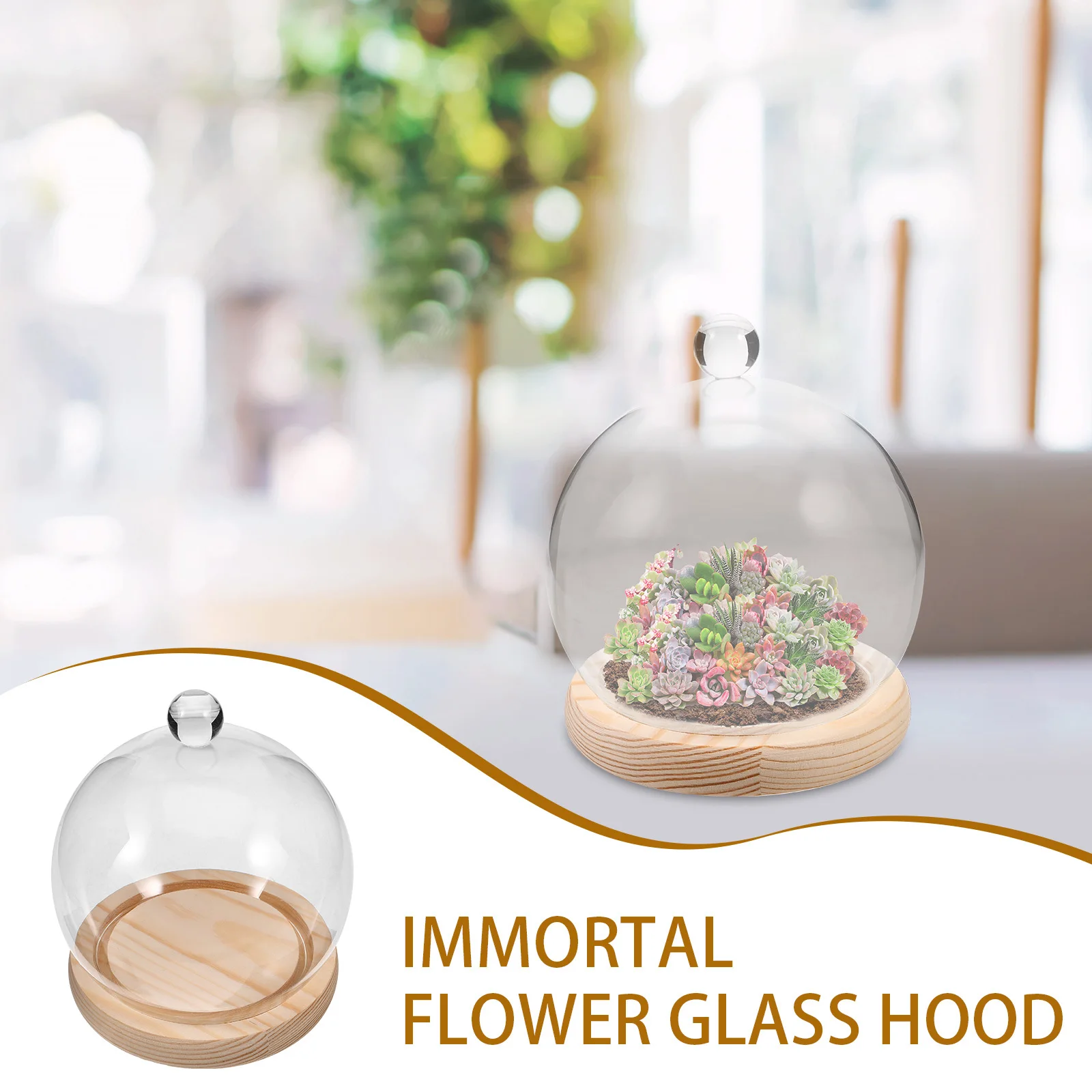 

1Set Glass Display Dome Clear Glass Dome with Wood Base Decorative Cloche for Preserved Flowers Collectibles Desktop Decor