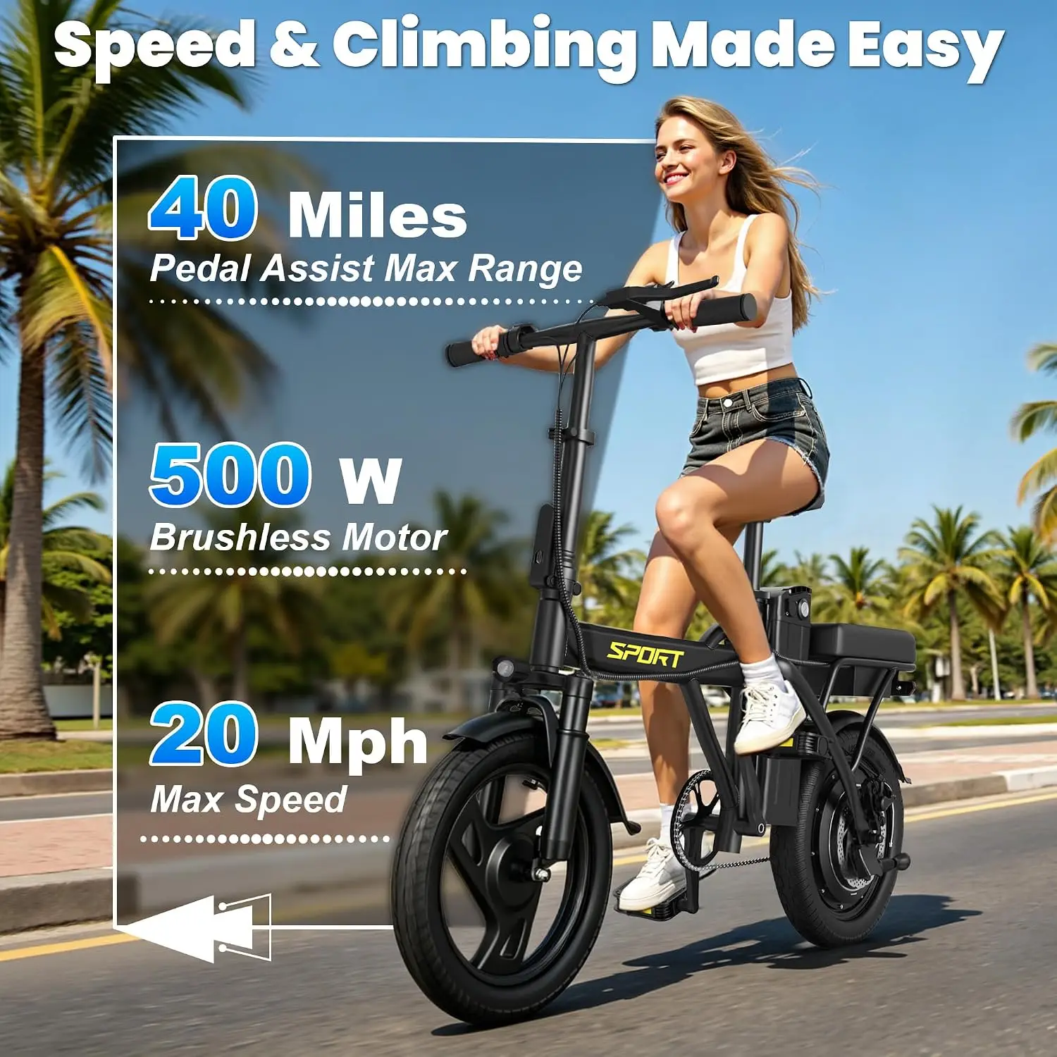 Electric Bike Adults 14