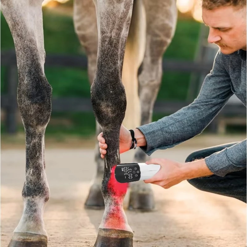 

Rechargeable Wireless Light Therapy Device Handheld Red Light Therapy Products Horse Light Therapy for Arthritis Wound Recovery