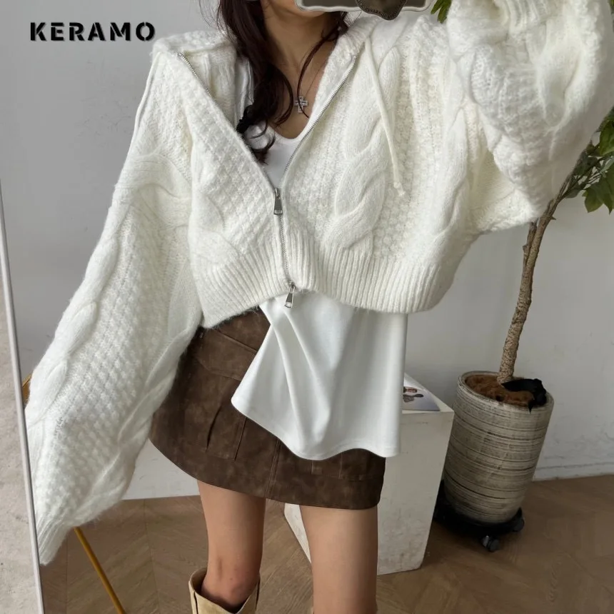 2025 Summer Women's Casual Zipper Knitting Long Sleeve Cardigans Korean Solid Color Loose Fit Hooded Coat Fashion Sweater