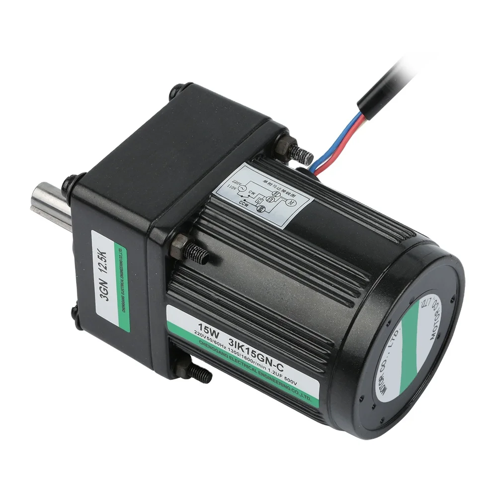 110v 6w-250w Ac Electric Motor Low Speed High Torque Motor