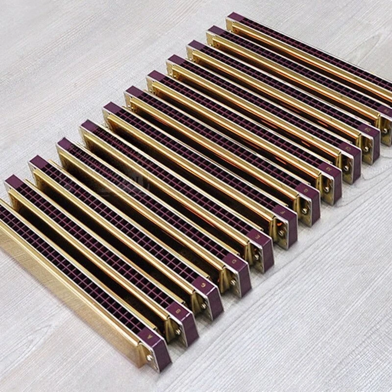 28-Hole polyphonic harmonica 7-key 12-major set, full set of full-key adult professional performance grade