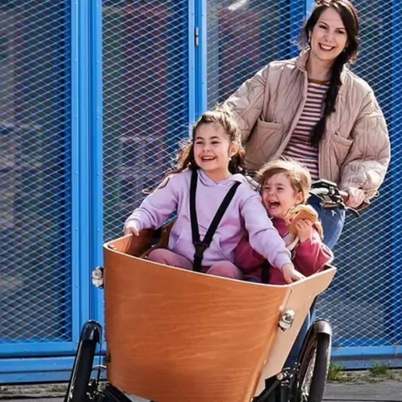 20 Inch Electric Cargo Bike with 7 Speed Gears for Heavy Loads Factory Direct 7 Speed E-Bike Featuring Advanced Swing