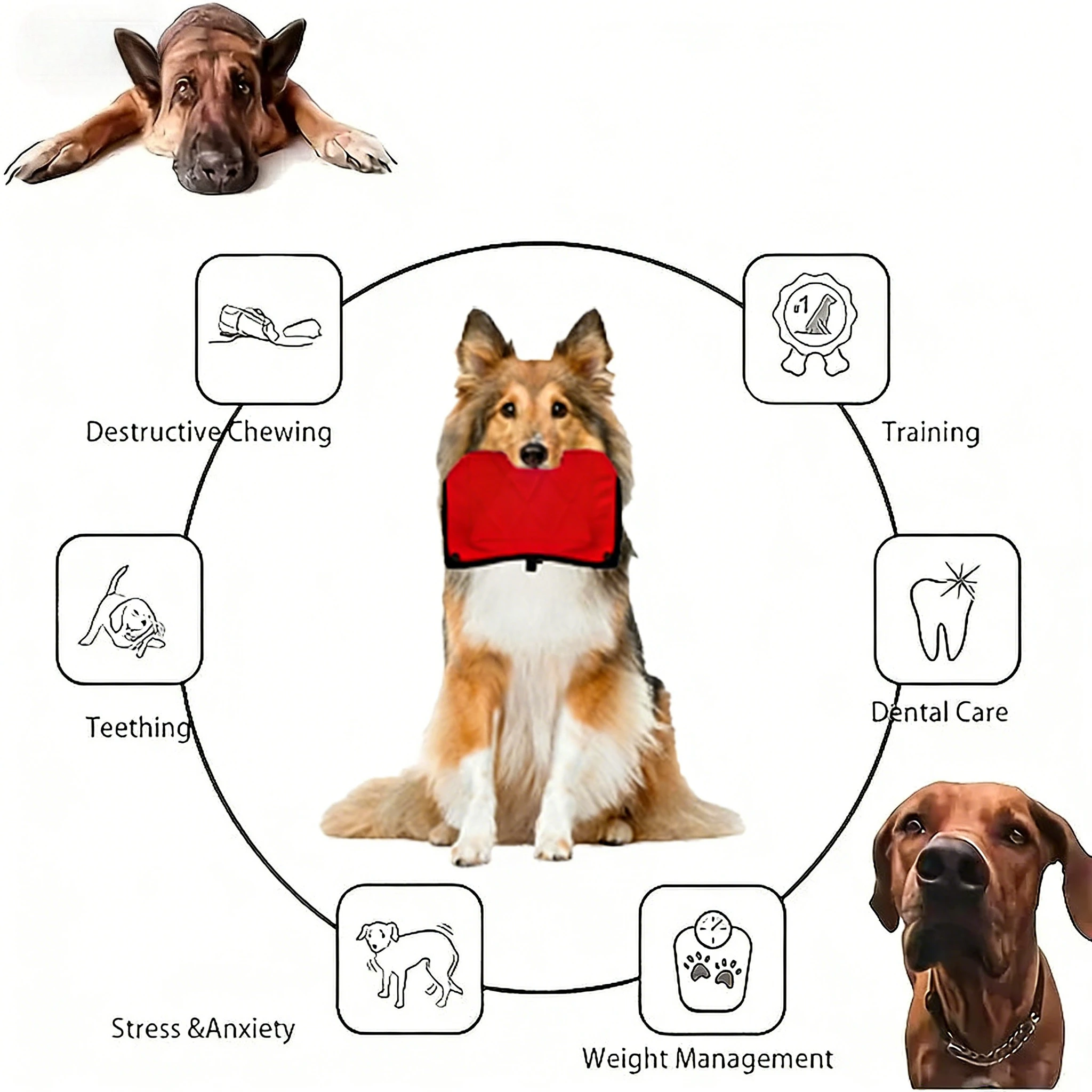 Dog Bite Pillow High Quality J - đánh giá và giá Interactive Squeaky Plush Dog Toy