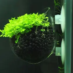 Aquatic Plant Cup With Suction Holder Aquarium Glass Plant Pot Mini Vase Red Worm Feeder for Fish Tank Aquascape Decoration