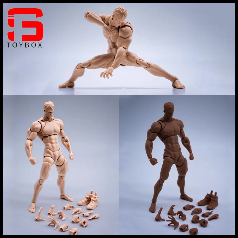 Wind Toys 1/12 Super Flexible Male Muscle Strong Joint Body 16cm Man Action Figure Doll Model with Head Sculpt 7 Pair of Hands