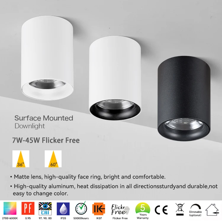 Hot Sales 35W Surface Mounted LED Downlight Fixture White & Black Round Frame Spotlight Fitting IP44 Rating