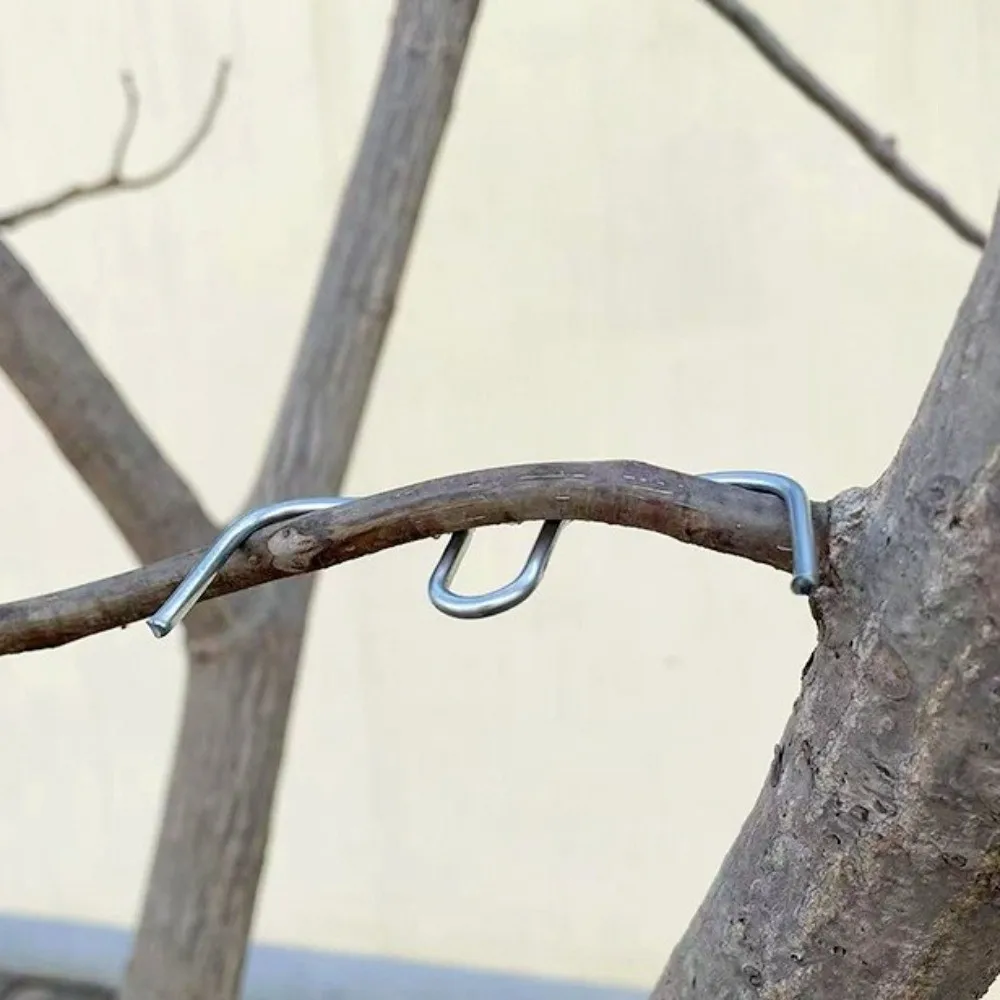 10Pcs M-Shaped Fruit Tree Branch Puller Shape Fixator Branch Bends Branch Bending Tools Metal Heavy-Duty Plant Support Tool