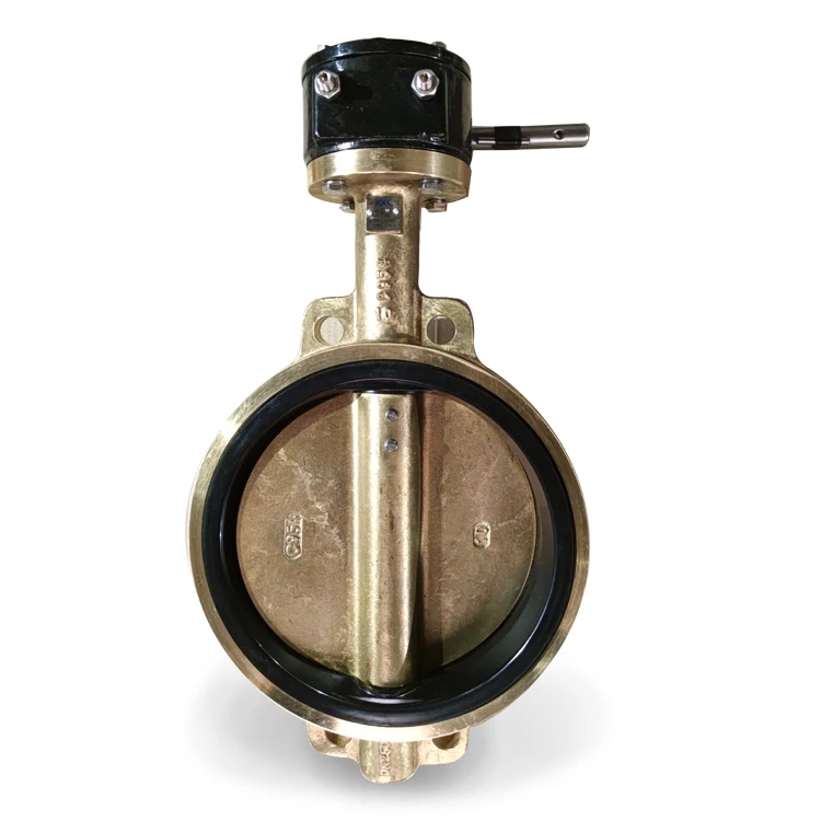 Metals Factory Suppliers DN150 6 Inch Resilient Brass Body EPDM Seated Butterfly Valve With Worm Gear