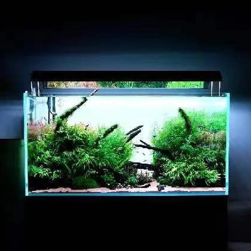 Factory direct sales wholesale smart led aquarium light for fish tank