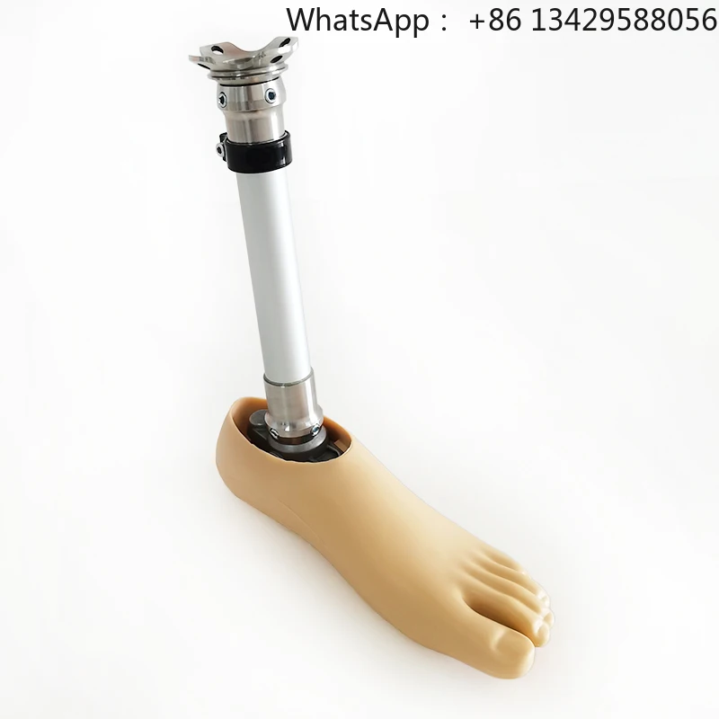 

Origin in China High Quality Medical Supplies Artificial Below Knee Prosthetic Leg BK