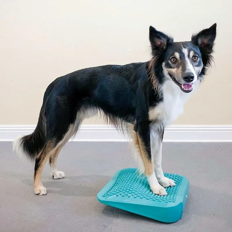 Pet Rehabilitation Training Ramp Inflatable Ramp Dog Fitness Ball Muscle Weight Transfer Rendition