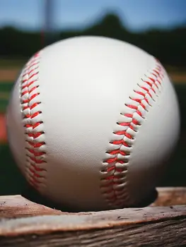 9-Inch Training Baseball 2