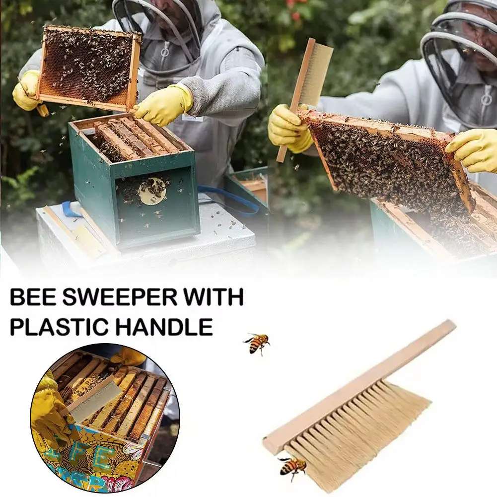Double-Row Beekeeping Brush Solid Wood Handle Soft Horsetail Hair Bee Sweep Beekeeping Tools Cleaning Equipment for Hive