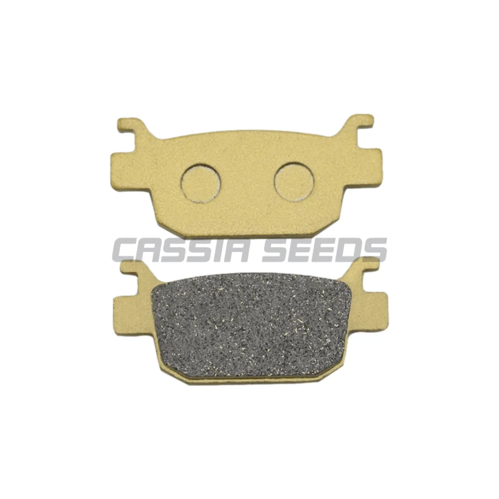 Motorcycle Front and Rear Brake Pads for Benelli TRK502X TRK502 X TRK 502X 2017 2018 2019 2020 2021 2022