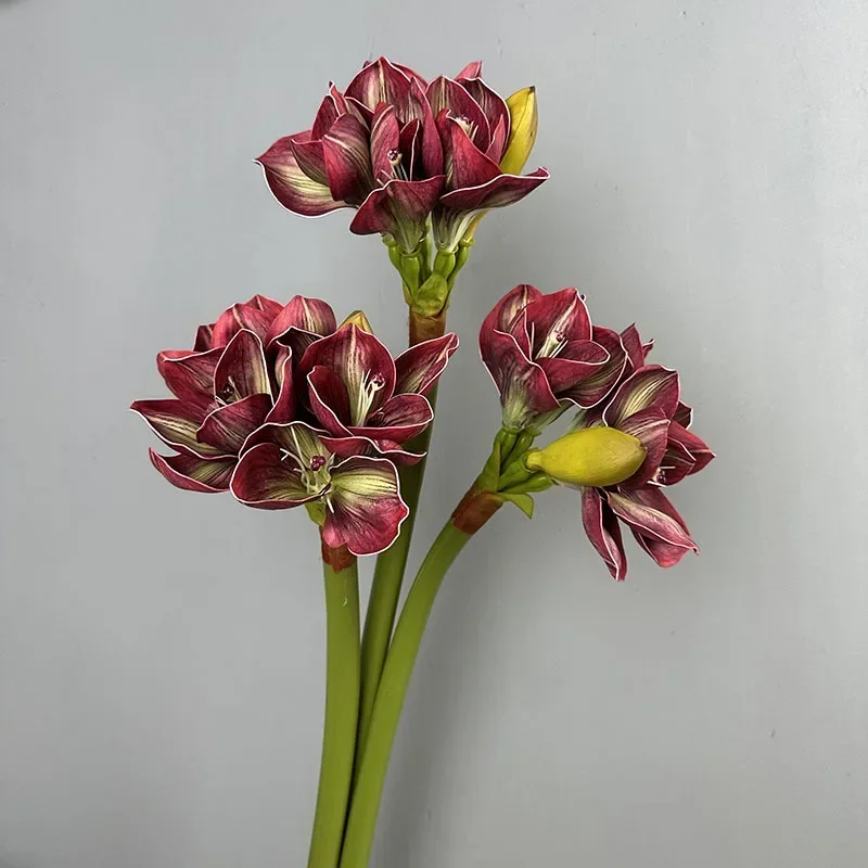 

Real Touch Chinese Artificial Clivia Branch Fake Flowers White Clivias Simulation Flower Lobby Entrance Decoration Green Plant