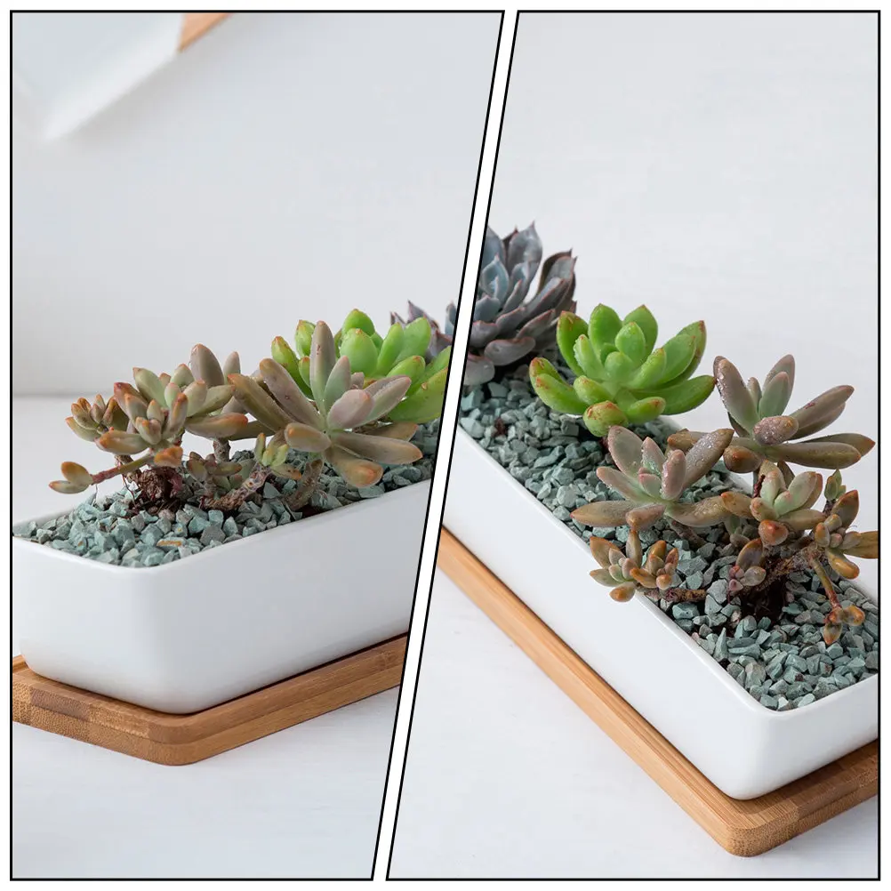 Rectangular Ceramic Planter Pot with Drainage Saucer Sturdy Lightweight Home Office Decor for Roses Mint Parlor Palm