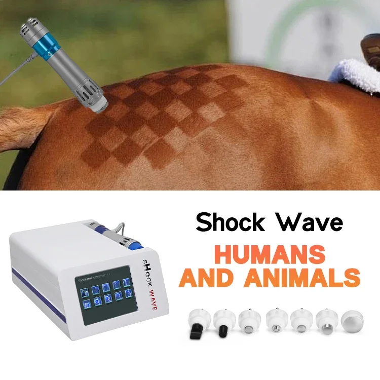 

2023 Vet Equipment Radial Extracorporeal Equine Electromagnetic Therapy Machine for Physical