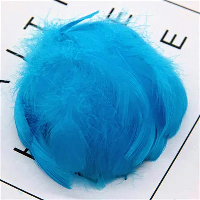 Variant: lake blue 100pcs