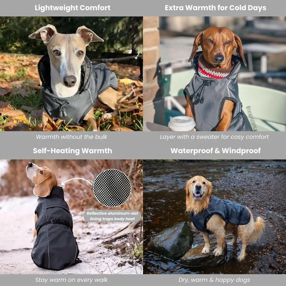 

Thermal Insulated Waterproof Dog Coat - Suitable for Small to Large Dogs, Lightweight, Easy On/Off, Hair-free Lining (3XL)