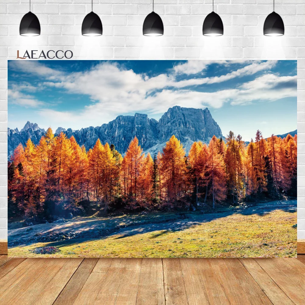 Laeacco Colorado Snow Mountains Backdrop Pine Trees Forest Landscape Outdoor Hiking Kids Adults Portrait Photography Background