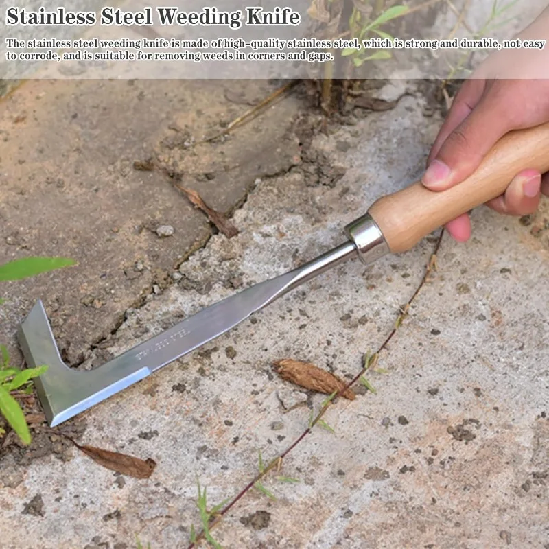 Grattoil à Désherber Manuel, 30 cm - Manche en Bois et Lame en Acier Inoxydable pour Éliminer les Mauvaises Herbes et la Mousse