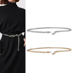 Fashion Golden Chain Belt Magnet Snake Strass Waistband Female Designer Belts For Women Luxury Brand Punk Neck Accessory