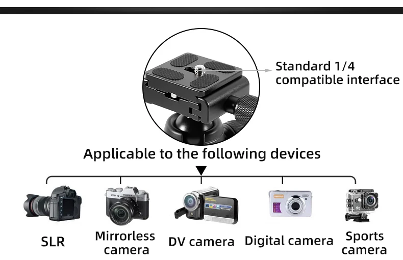 BEXIN Schnellverschluss-Kugelkopf aus Aluminium mit Arca Swiss-Kamerahalterung für DSLR-Kameramonitor, Mikrofon, Lichtstativ, Foto – Detail 2
