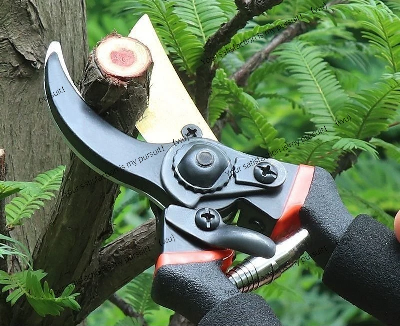 SK-5 Alloy Steel Gardening Scissors, Fruit Tree Pruning Shears, Fruit Picking