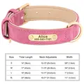 131-1 Pink