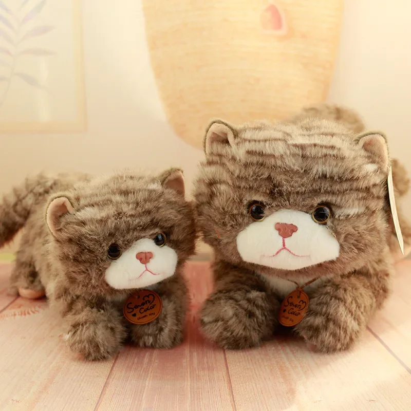 

Simulation Cat Plush Toy Cute Cat Doll Soothing Pillow Gift Decorations for Sofas and Bedrooms m