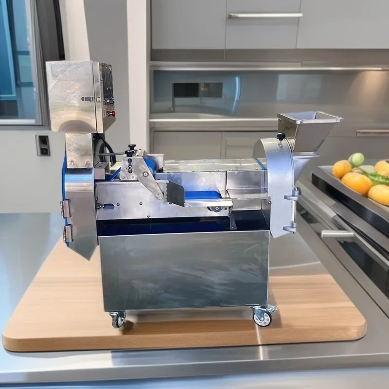 Multifunctional double-head vegetable cutter, fruit and vegetable medicinal dicing machine