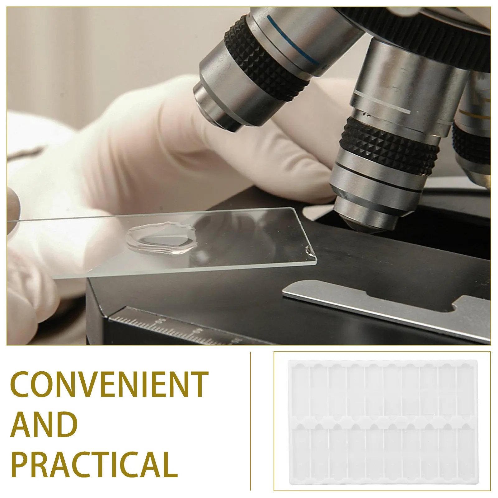 Laboratory Microscope Slide Organization Tray 20-Slot PP Storage Board Science Research Slide Holder Easy Clean