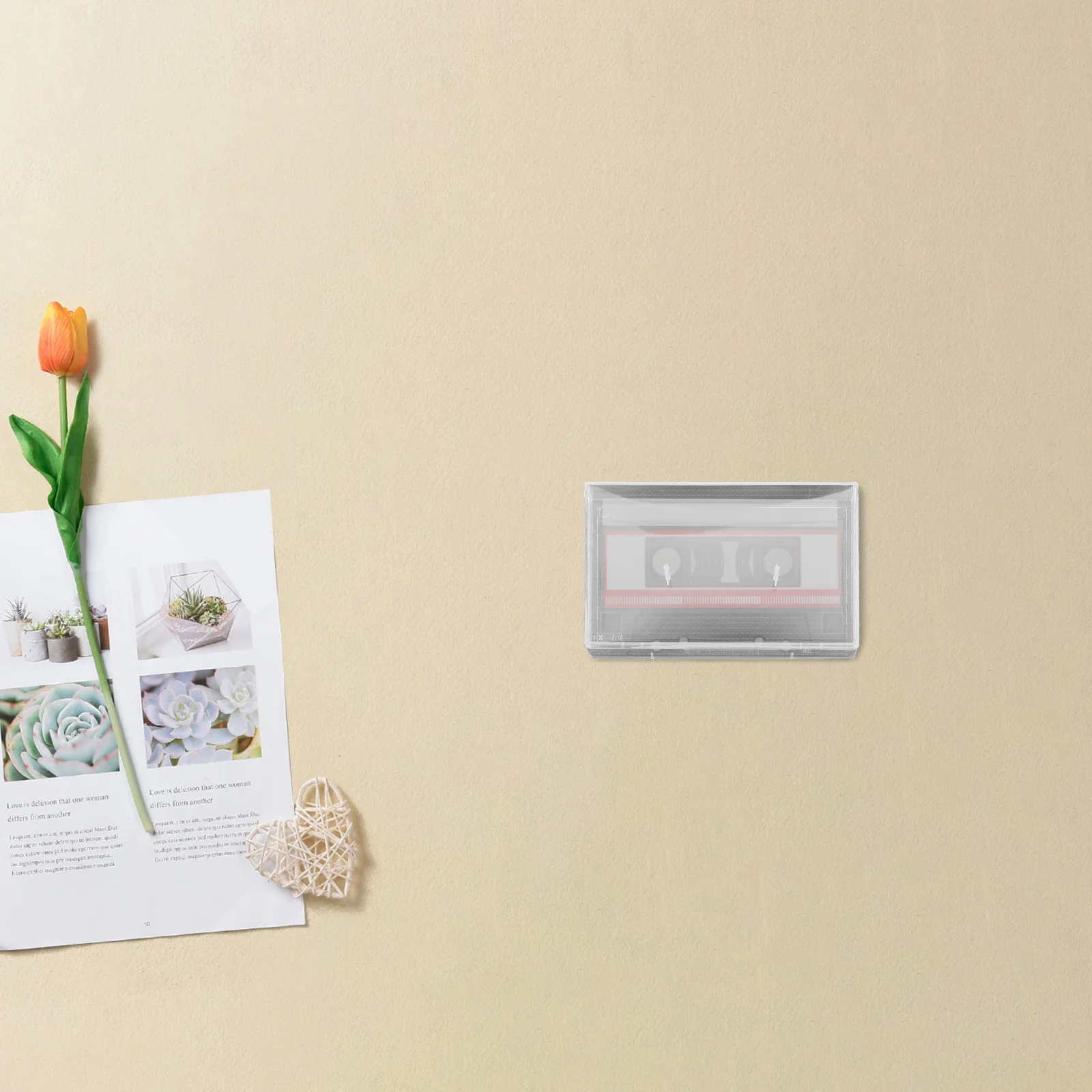 

10Pcs Clear Cassette Tape Organizer Box Vintage Design Plastic Storage Case Protective Holder for Music Cassette Tape Collection