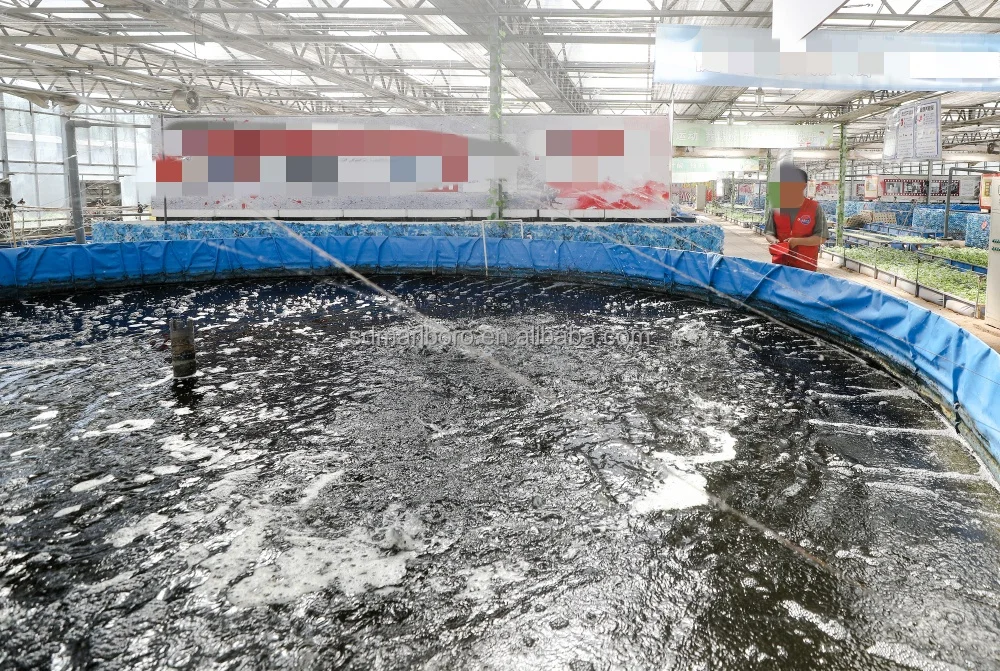 AIROW Customizable Aquaculture Equipment Fish Farming Tank Fish Farming Pool With Competitive Price