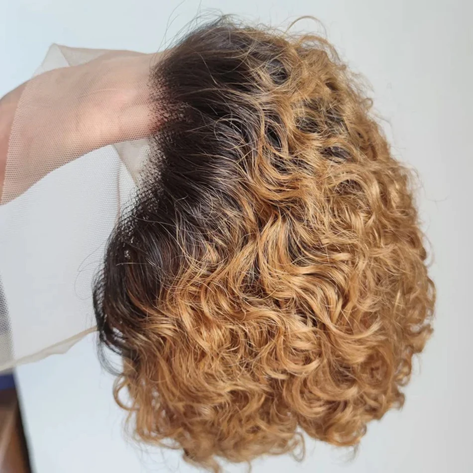 Curly Pixie Cut Wig Lace Human Hair Wig Water Wave Short Bob Wig 13X1 Transparent Lace Wig Wig Ombre Burgundy