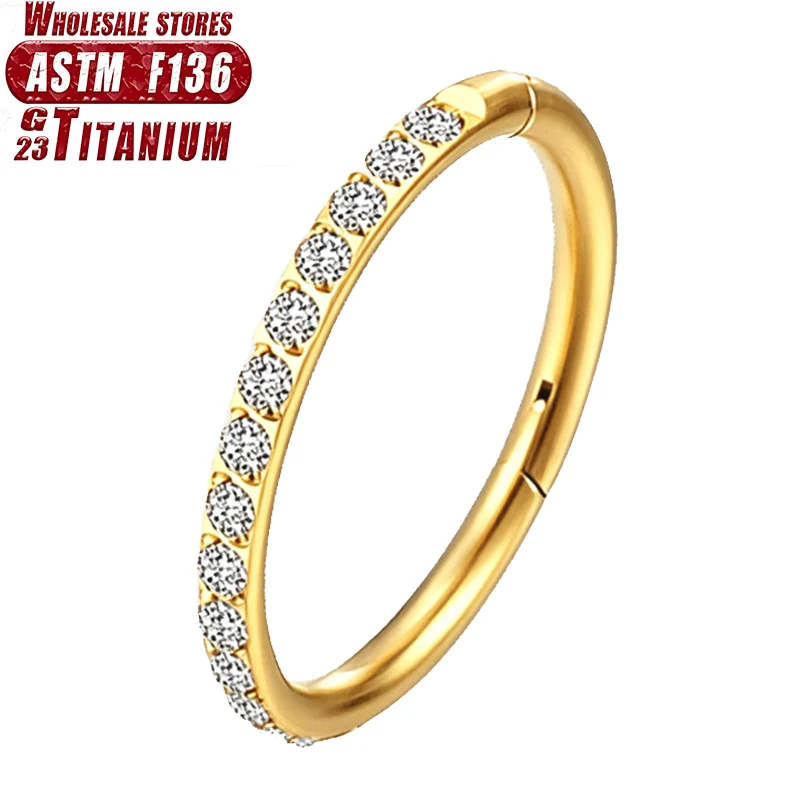 G23 Titanium 16G Clicker Hoop Ring CZ Huggie Earrings