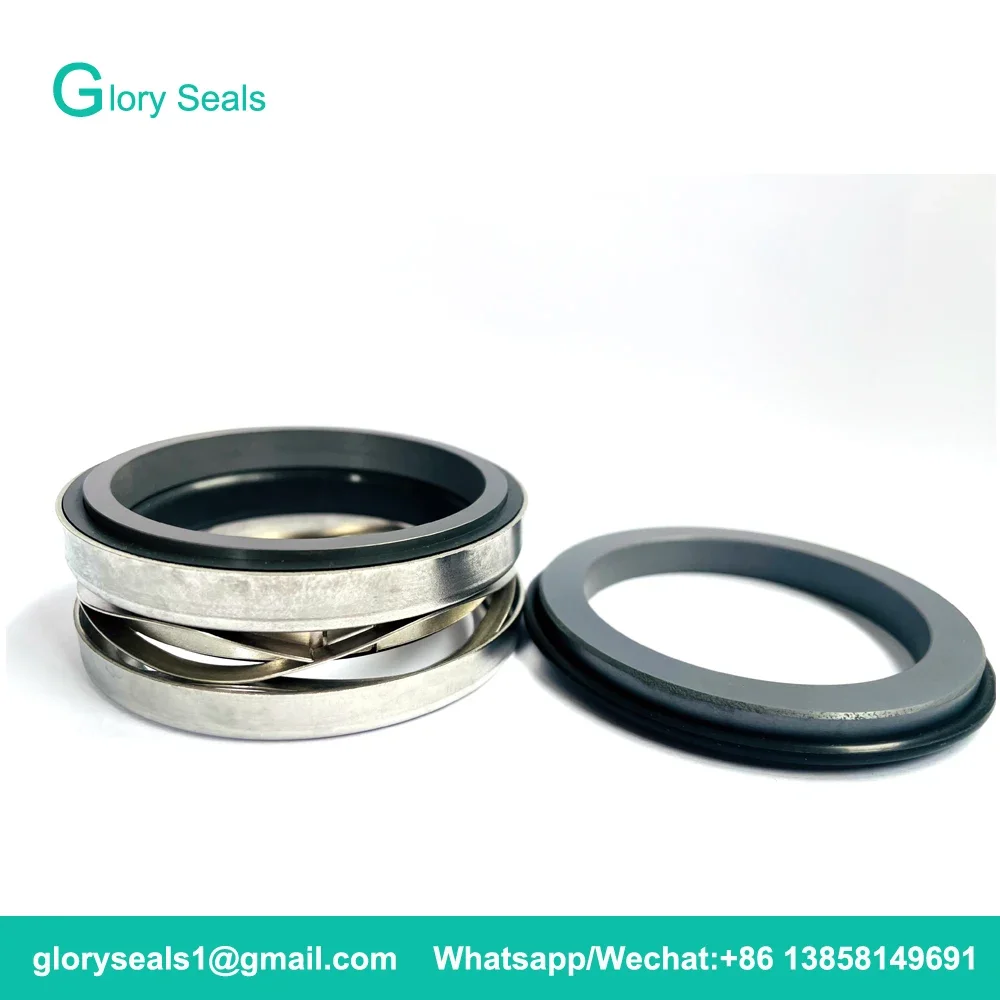 ABS-55 Mechanical Seals Shaft Size 55mm For A-B-S Pump With Material SIC/SIC/VIT